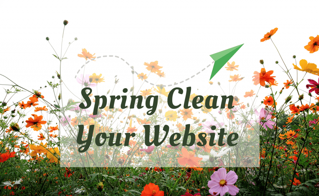 SEO Check Spring Clean Your Website