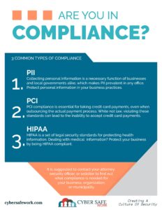 3 Common types of online compliance are PII, PCI, and HIPPA free cyber security poster