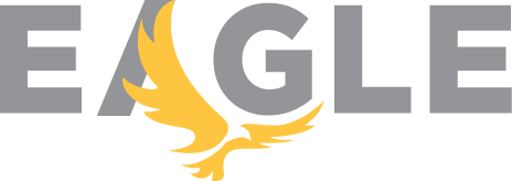 Eagle Secure Solutions logo