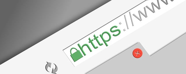 https in search bar