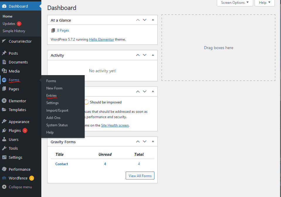 How to Access Gravity Form Entries -