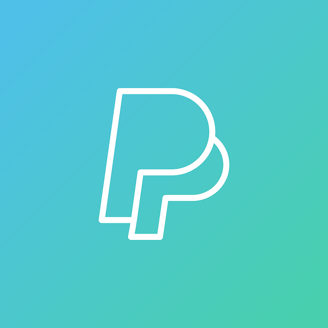 stylized paypal logo white outline